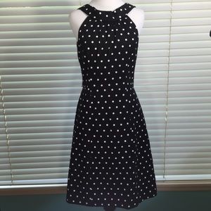 White House Black Market Black White Dress Size 4